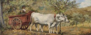 Ox Cart